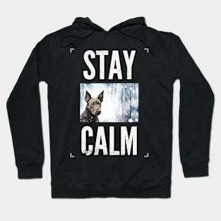 stay calm Hoodie